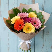 Букет цветов из:  Герберы в Дубках Дагестан
