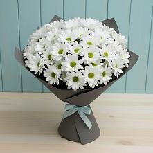 Букет цветов из:  Хризантемы в Дубках Дагестан