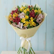 Букет цветов из:  Альстромерии в Дубках Дагестан