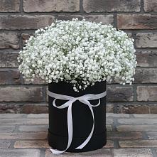 Цветочная композиция из Гипсофила в шляпной коробке #REPLACE_PRED# Дубках Дагестан