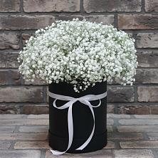 Цветочная композиция из Гипсофила в шляпной коробке в Дубках Дагестан