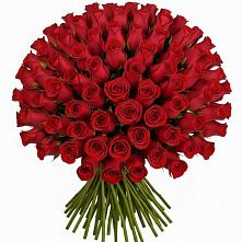 Букет Красные розы Чери Лав в Дубках Дагестан