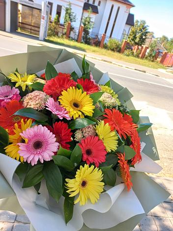 Букет цветов из: Герберы в Дубках Дагестан